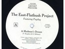 East-Flatbush Project - A Madman's Dream / Can't Hold It Back '94 12