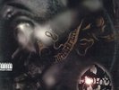 Method Man - Tical '94 LP US ORG  RZA Raekwon Wu-Tang Clan