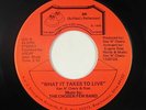 Modern Soul 45 - Chosen Few Band - What It Takes To Live - BR - NM mp3