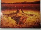 Dirt by Alice in Chains (Vinyl, 1992, Music On Vinyl)
