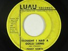 Northern Soul 45 - Penny North - Thought I Had A Good Thing - Luau - mp3
