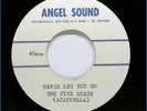 FIVE DISCS/DEVOTIONS DooWop Acapela ACETATE Rip Van Winkle/Never Let You Go HEAR