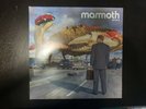 Mammoth WVH Wolfgang Van Halen Exclusive Red Vinyl Double 2 LP record