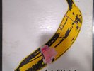 The Velvet Underground & and Nico LP Vinyl Record Stereo V6-5008 