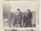 THE KINGBEES, MY LITTLE RED BOOK, IRISH 7
