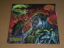 ACID WITCH -STONED- AWESOME  COLOR VINYL DEATH METAL UNPLAYED