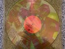 Rock LP Talking Heads - Speaking In Tongues SIRE Rauschenberg Clear