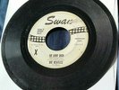 The Beatles - Sie Liebt Dich (She Loves You)/I'll Get You 45 Swan promo FAIR