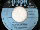 BLUE RHYTHM COMBO 45 My World Is Empty/A Streak-O-Lean VG+ Trex islands  c4530