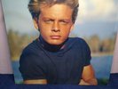 LUIS MIGUEL (ENTREGATE) VTG, LP VINYL 20 AÑOS, WEA IMPECABLE Made at México