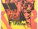 THE GO  TEAM Thunder, Lightning, Strike Vinyl LP 2004 UK