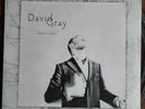 David Gray  -  Foundling  -  Vinyl  LP