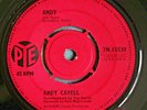 ANDY CAVELL Andy / There Was A Boy UK 7
