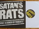 SATAN'S RATS - What a bunch of Rodents LP Rare Punk,Powerpop,Sex Pistols,Damned