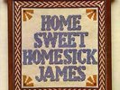 Home Sweet Homesick James LP