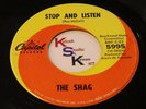 THE SHAG 45 Stop and Listen / Melissa CAPITOL 5995 SCRANTON Garage Fuzz Psych 67