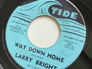 LARRY BRIGHT Way Down Home orig. early R&B garage rocker TIDE VG+