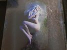 Vinyl 2 disc 12