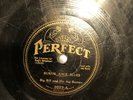 BLUES BIG BILL JUG BUSTERS Perf 223 Shelby County Blues/Rukus Juice Blues V