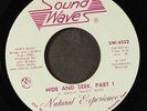 NATURAL EXPERIENCE: hide and seek SOUNDWAVES 7
