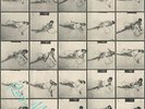 Roxy Music - Roxy Music Remixed (Limited Edition) RSD 2019 Vinyl