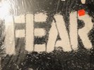 FEAR-The Record