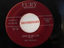 The Federals 45 Fury #1005 You're the One I Love / While Our Hearts are Young NM