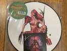 Lady Gaga - Chromatica Picture Disc Vinyl Autographed