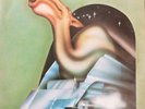 CAMEL / Self Titled / LP