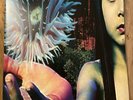 The Future Sound Of London – Lifeforms LP - FSOL Vinyl