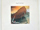 Sting - The Soul Cages - Vinyl First Pressing - 1991 - 396 405-1