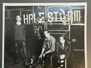 Halestorm - Into The Wild Life - Vinyl 2LP - Red Varient