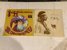 JIMI HENDRIX-ARE YOU EXPERIENCED-CRASH LANDING-SEALED VINYL  2014  1975
