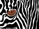 Alessandro Alessandroni Afro Discoteca LP Four Flies Records 1978 - reissue 2017
