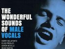 Various Artists - The Wonderful Sounds Of Male Vocals - Analogue Productions LP