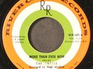 ANGELS: more than ever now / what would you do RIVER CITY 7