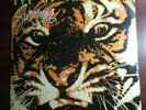 Survivor • Eye Of The Tiger • 1982 Original Pressing Brand New SEALED