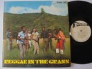 VA Reggae In The Grass STUDIO ONE Orig JA + UK SLeeve + Funk Soul Reggae LP