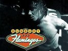 FLAMINGOS [2/26] NEW VINYL