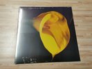 SWANS - THE BURNING WORLD - VINYL LP - 2014 US PRESS - SEALED