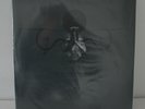 Blut aus Nord-The Work Which Transforms God Vinyl Black Metal