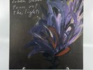 Julien Baker - Turn Out The Lights Vinyl Record LP Clear Color Variant