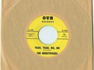 THE BRENTWOODS garage psych 1967 Our 45 Babe Yeah Norman Petty New Mexico