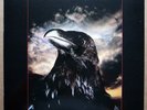 The Stranglers ‎– The Raven - Japan 1979 vinyl LP NEAR MINT GP-765