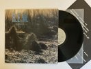 REM - Murmur - 1983 US 1st Press (EX) Ultrasonic Clean