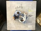 BRAND NEW LIMITED EDITION HAND SIGNED KINGS OF CONVENIENCE PEACE OR LOVE VINYL