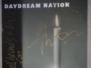 Sonic Youth: Daydream Nation LP, Vinyl, Blast First,1988