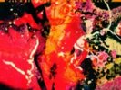 GABOR SZABO: BACCHANAL -HQ [LP vinyl]