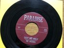 INTERNS 45 Sally Met Molly 1966 FRANTIC TEXAS GARAGE ROCKER on PARADISE