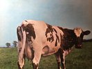PINK FLOYD ATOM HEART MOTHER USA EDITION PSYCH PROG ROCK LP